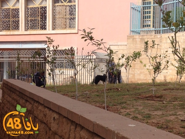 school iqte7am3 (4).JPG